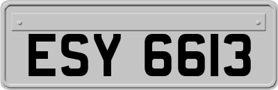 ESY6613