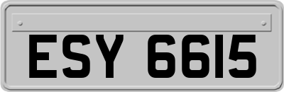 ESY6615