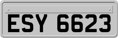 ESY6623