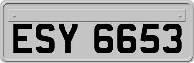 ESY6653