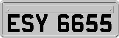 ESY6655