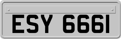 ESY6661
