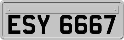ESY6667