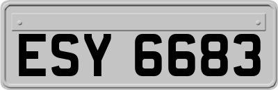 ESY6683