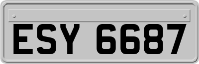 ESY6687