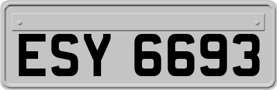 ESY6693