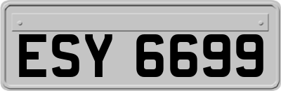 ESY6699