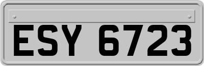 ESY6723