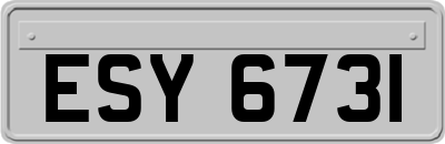 ESY6731