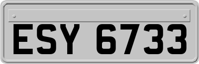 ESY6733