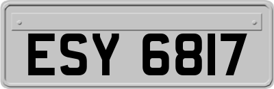 ESY6817