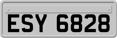 ESY6828