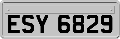 ESY6829