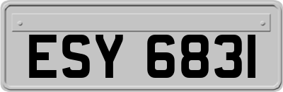 ESY6831