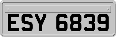ESY6839