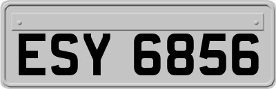 ESY6856