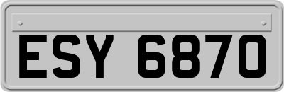 ESY6870