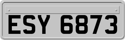ESY6873