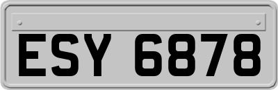 ESY6878
