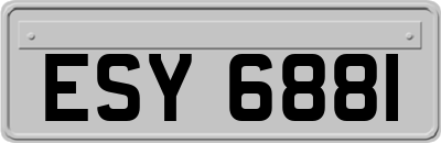 ESY6881