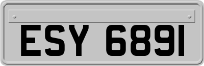 ESY6891