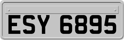 ESY6895