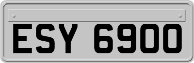 ESY6900