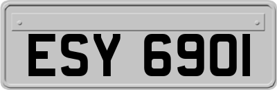 ESY6901