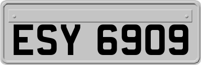 ESY6909