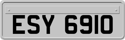 ESY6910
