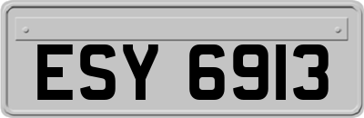 ESY6913
