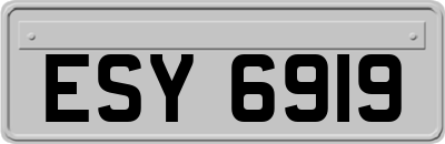 ESY6919