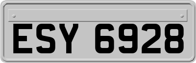 ESY6928