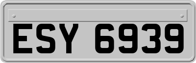 ESY6939