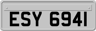 ESY6941