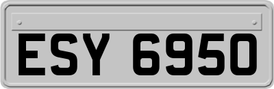 ESY6950