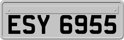 ESY6955