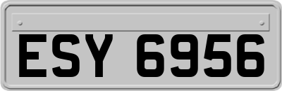 ESY6956