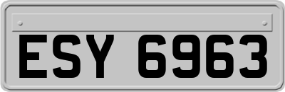 ESY6963