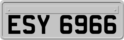 ESY6966