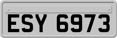 ESY6973