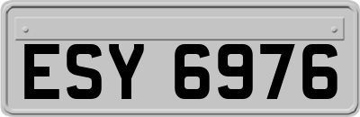 ESY6976