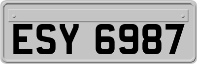 ESY6987