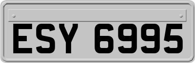 ESY6995