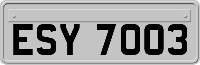 ESY7003