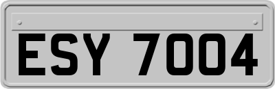 ESY7004
