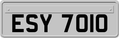 ESY7010