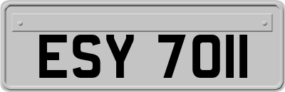 ESY7011