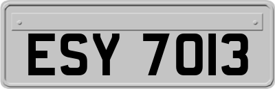 ESY7013