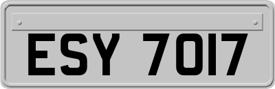 ESY7017